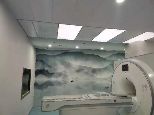 غرفة محمية بموجب التصوير بالرنين المغناطيسي 100 ديسيبل حماية فاراداي قفص فاراداي باب قابل للتخصيص